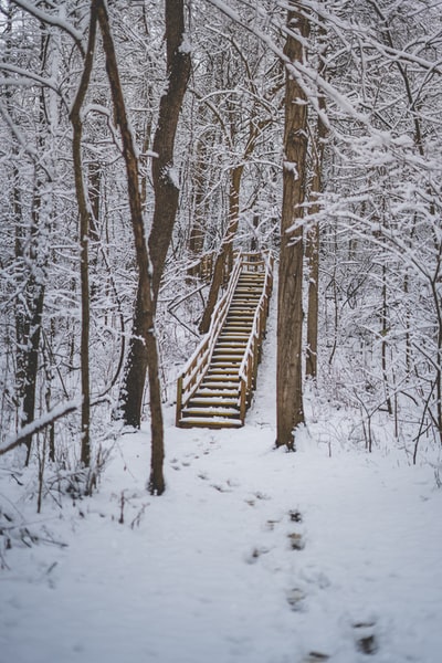 棕色的木质楼梯上覆盖着雪
